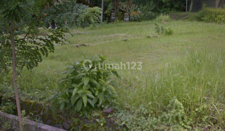 TANAH VIEW HUTAN DEKAT PRAMANA HOTEL UBUD 1