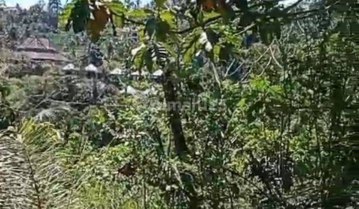 TANAH LOS SUNGAI JUNGLE LEMBAH KEREN SIAP BANGUN VILLA RENTAL 1