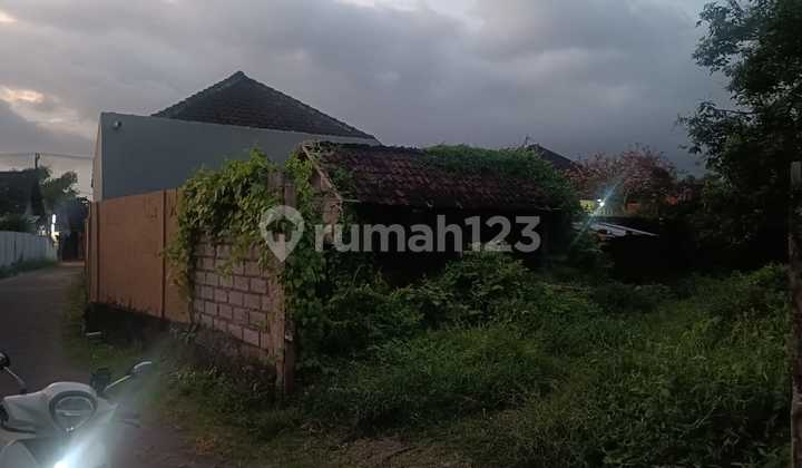 Tanah Sewa Murah Untuk Vila Rental Zona Kuning Tanah Sewa Murah Untuk Vila Rental Zona Kuning