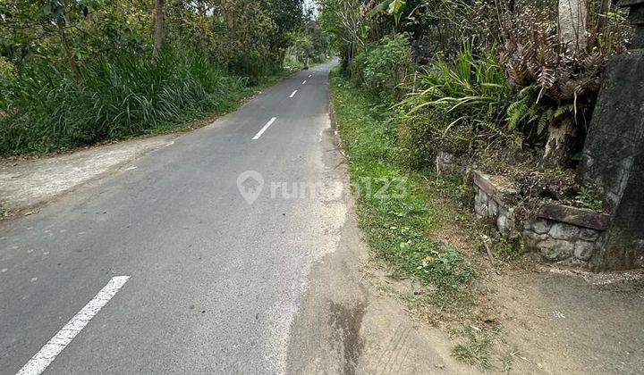 TANAH KEBUN PINGGIR JALAN ASPAL SUPER MURAH DI TARO TEGALALANG 1