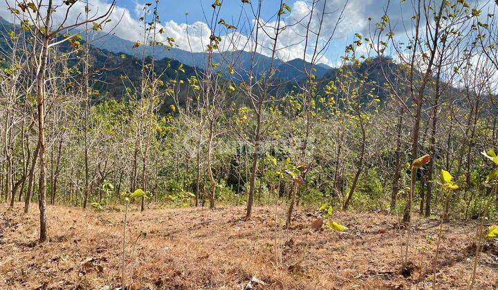 Tanah Sewa Ocean View Sangat Murah Siap Bangun Vila  1