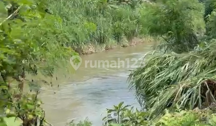 Jual Tanah Los Sungai Wos Ubud View Sangat Cantik Jual Tanah Los Sungai Wos Ubud View Sangat Cantik