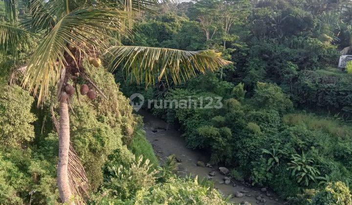 Tanah Los Sungai Besar View Abadi Cocok Villa Rental  1