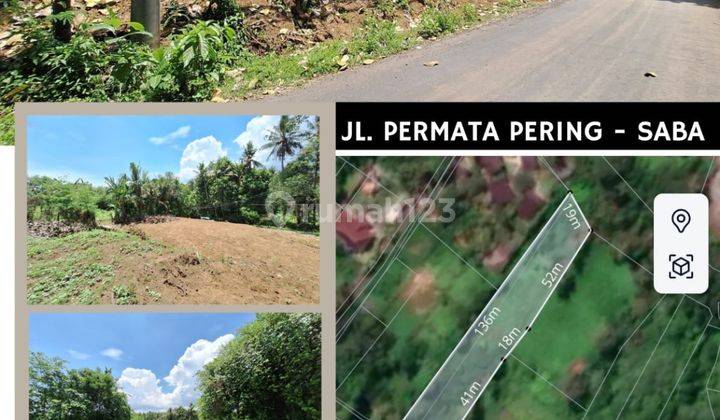 Tanah Sewa Zona Pink 300 Meter Ke Pantai Saba 2