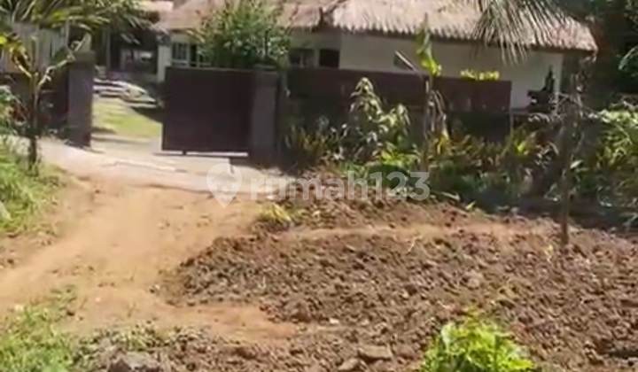 Tanah Super Murah di Petulu Ubud Zona Pink Siap Huni Tanah Super Murah di Petulu Ubud Zona Pink Siap Huni