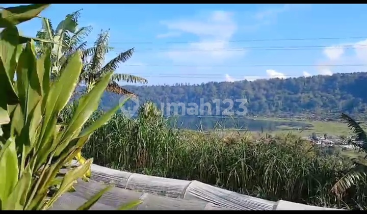 Buyan Lake View Keren Cocok Villa Atau Bisnis Glamping 1