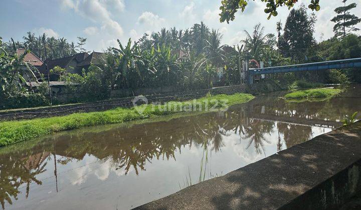 Tanah Zona Kuning Super Murah Di Pejeng View Sungai  2