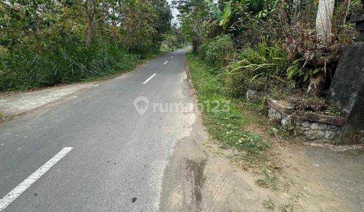 Rumah Pinggir Jalan Aspal Udara Sejuk Harga Murah  2