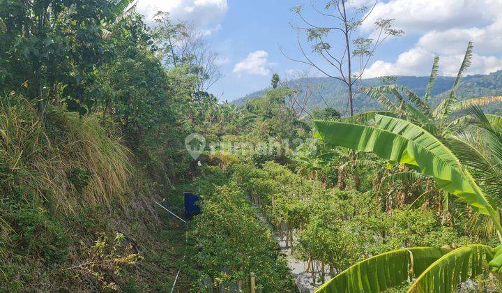 CHEAP LAND WITH COOL VIEW SUITABLE FOR LONG TERM INVESTMENT 2