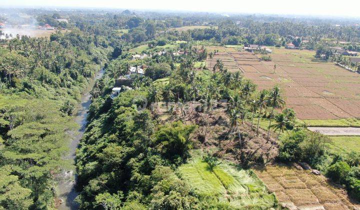 Tanah Los Sungai Wos Hutan Sawah Cocok Hotel Atau Resort 2