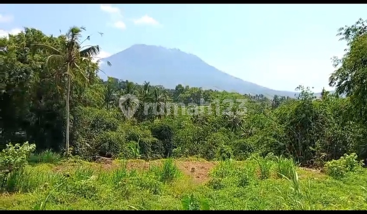 Tanah View Gunung Bukit Hutan Super Cantik