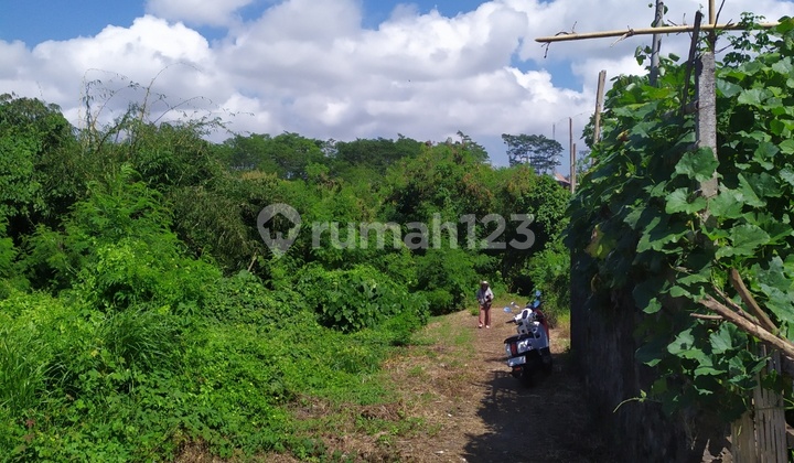 Cheap Land South Ubud Forest View for Private Villa Cheap Land South Ubud Forest View for Private Villa