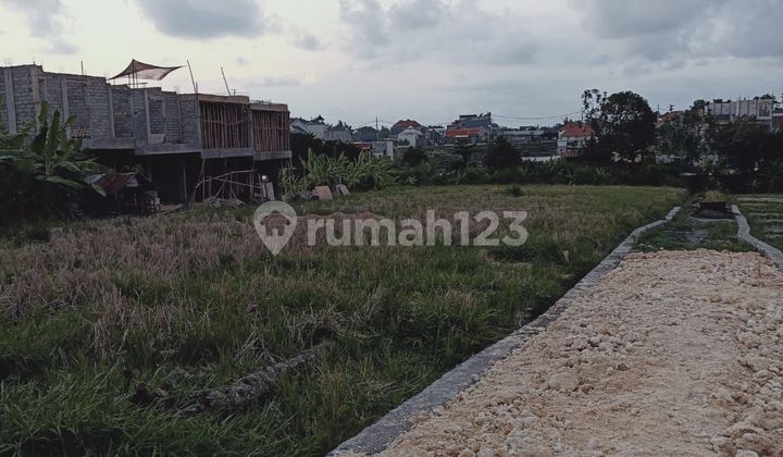 TANAH DEKAT FINNS DAN PANTAI BERAWA ZONA KUNING TANAH DEKAT FINNS DAN PANTAI BERAWA ZONA KUNING