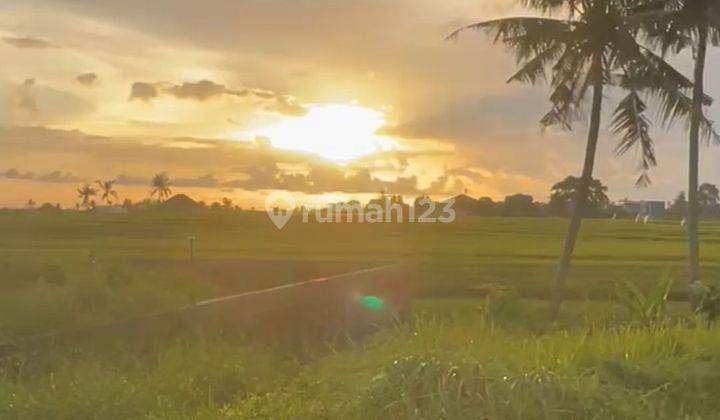 TANAH OCEAN VIEW SUNSET VIEW SAWAH TERSERING TERKEREN PERERENAN  1