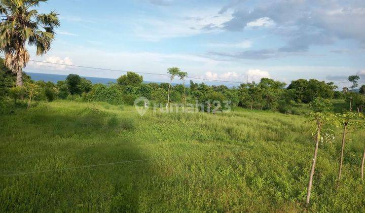 OCEAN VIEW DAN GUNUNG TERMURAH DI TULAMBEN KARANGASEM  2