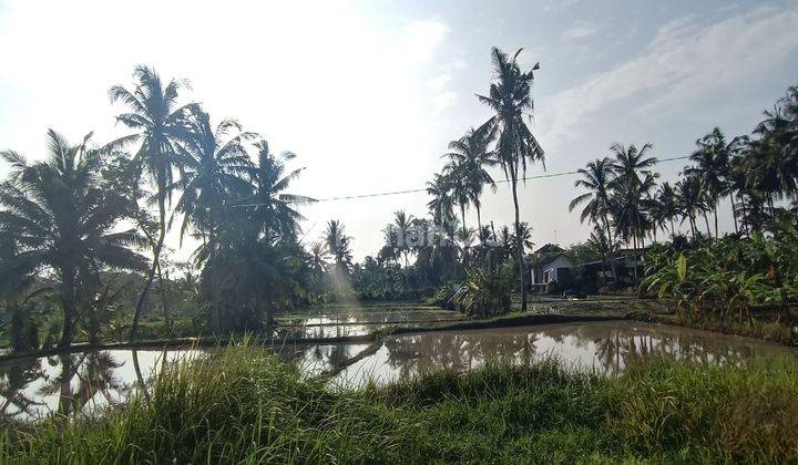 TANAH SEWA VIEW CANTIK ZONA KUNING LINGKUNGAN VILLA  1