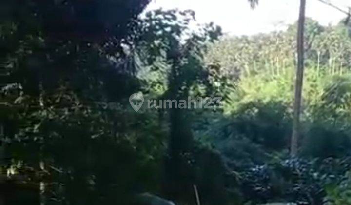 TANAH COCOK KOMPLEK VILLA VIEW LEMBAH DAN JUNGLE  2