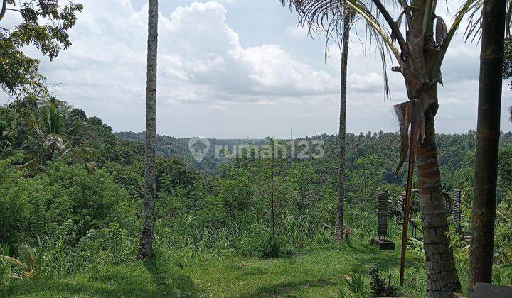 TANAH UNTUK RESORT LOS SUNGAI JUNGLE AIR TERJUN CANTIK  1