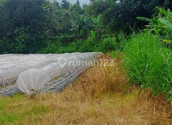 TANAH COCOK VILLA PRIBADI DI BEDUGUL UDARA SEJUK 1