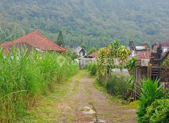 Tanah Cocok Investasi View Keren Harga Murah 2