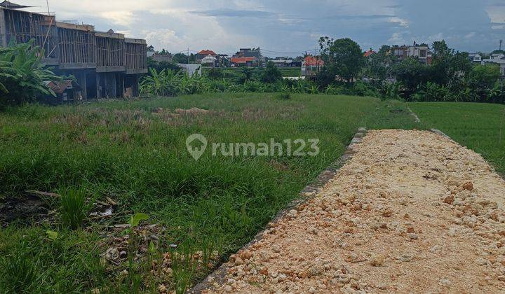 CHEAPEST YELLOW ZONE RICE VIEW LAND NEAR BERAWA BEACH  1