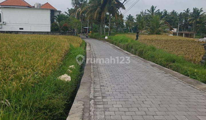 LAND NEAR UBUD CENTER VILLA ENVIRONMENT BEAUTIFUL RICE VIEW VIEW  2