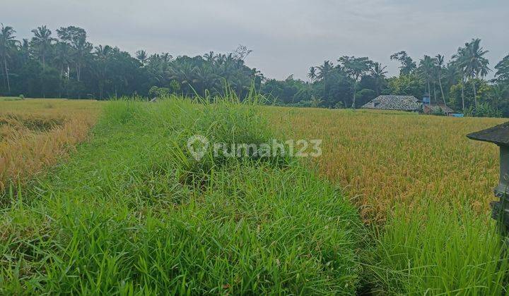 LAND NEAR UBUD CENTER VILLA ENVIRONMENT BEAUTIFUL RICE VIEW VIEW  1