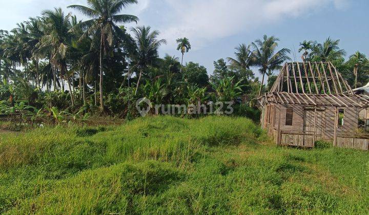 LAND FOR RENT BEAUTIFUL VIEW SMALL SIZE YELLOW ZONE UBUD 2