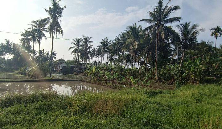 LAND FOR RENT BEAUTIFUL VIEW SMALL SIZE YELLOW ZONE UBUD 1