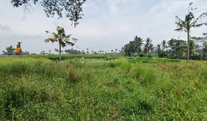 COOL MOUNTAIN VALLEY VIEW LAND SUITABLE FOR VILLA RENTAL  1