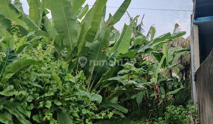 TANAH COCOK RUMAH/ VILLA PRIBADI DEKAT PANTAI RANGKAN  1