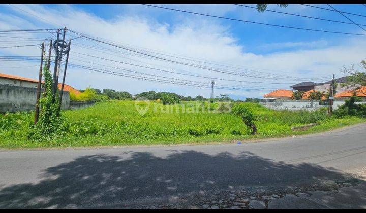 LAND FOR RENT YELLOW ZONE VIEW RICE POWDER VILLA ENVIRONMENT  2