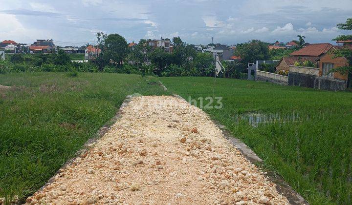 HARGA PROMO TERMURAH BULAN INI TANAH PANTAI BERAWA  1