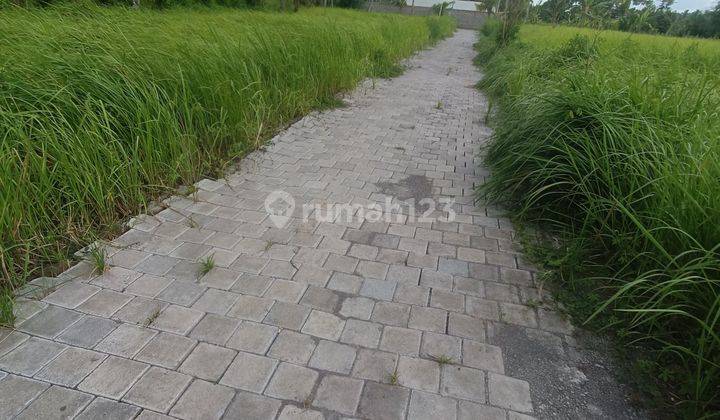 LOTS OF LAND READY TO BUILD JUNGLE VIEW IN LODTUNDUH UBUD  2