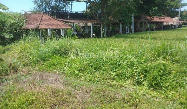 TANAH VIEW SAWAH ABADI TERMURAH DI UBUD LODTUNDUH  1