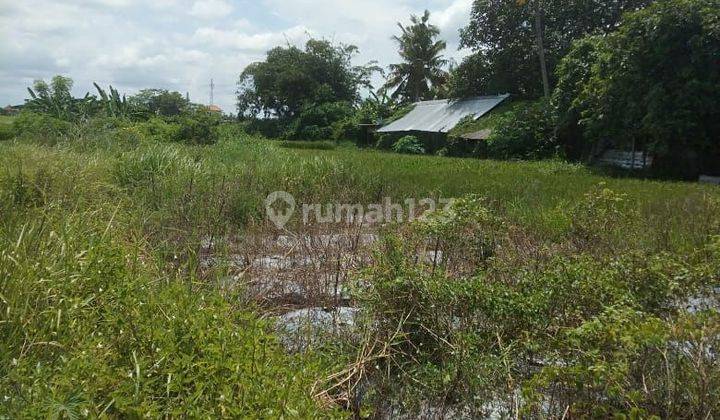 TANAH VIEW SAWAH ABADI TERMURAH DI UBUD LODTUNDUH  2