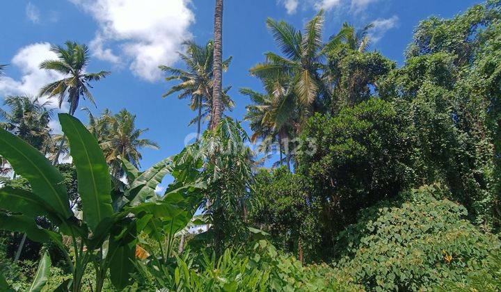 TANAH TERMURAH DI KEMENUH VIEW HUTAN DAN SAWAH 2