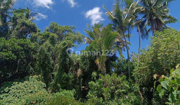 TANAH TERMURAH DI KEMENUH VIEW HUTAN DAN SAWAH 1