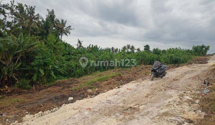 TANAH VIEW CANTIK UKURAN KECIL HARGA MURAH PERERENAN  2