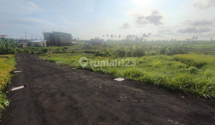 TANAH VIEW CANTIK UKURAN KECIL HARGA MURAH PERERENAN  1