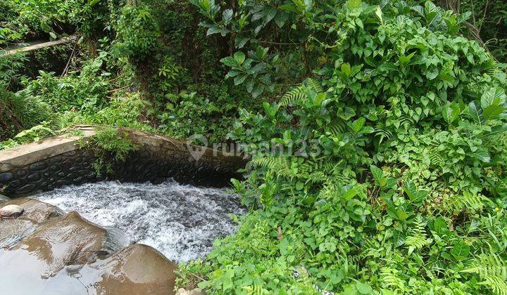 FOREST RIVER VIEW LAND SUITABLE FOR CHEAP PRICE VILLA RENTAL  1