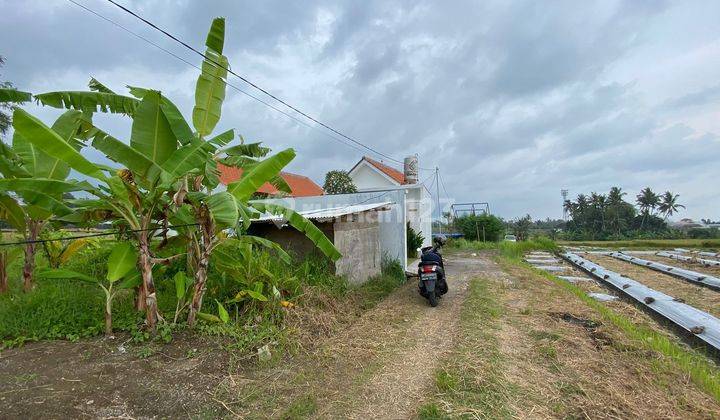 BEAUTIFUL RICE VIEW LAND SMALL SIZE READY TO BUILD VILLA RENTAL  1