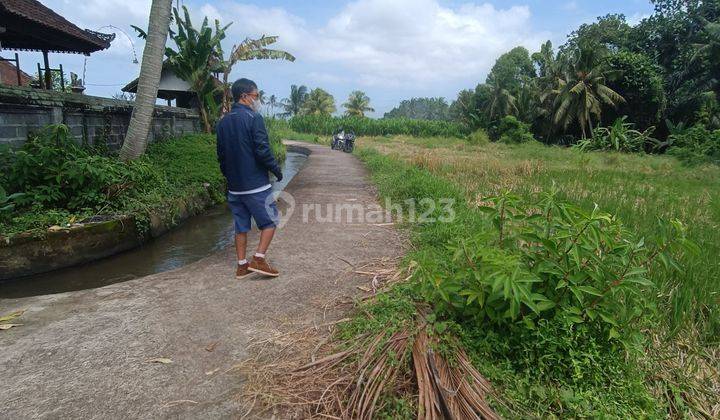 TANAH LOS SUNGAI VIEW JUNGLE SAWAH KEREN HARGA MURAH  2