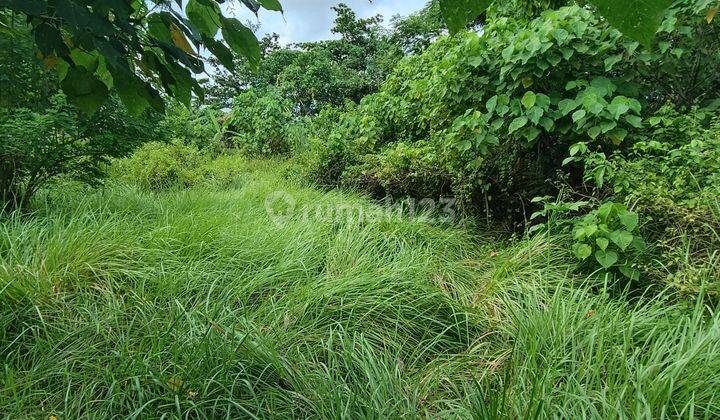 Tanah Ukuran Kecil Lokasi Strategis Siap Bangun  2