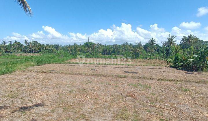 LAND NEAR SABA BEACH CHEAPEST PRICE BEAUTIFUL VIEW  1