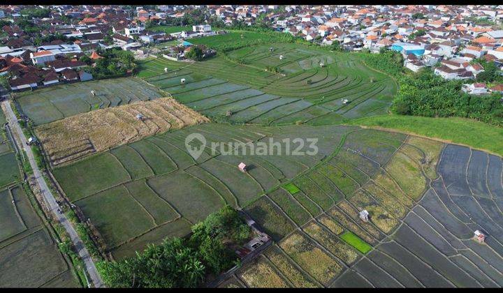 BEAUTIFUL VIEW LAND IN DAWAS PADONAN CHEAP PRICE  2