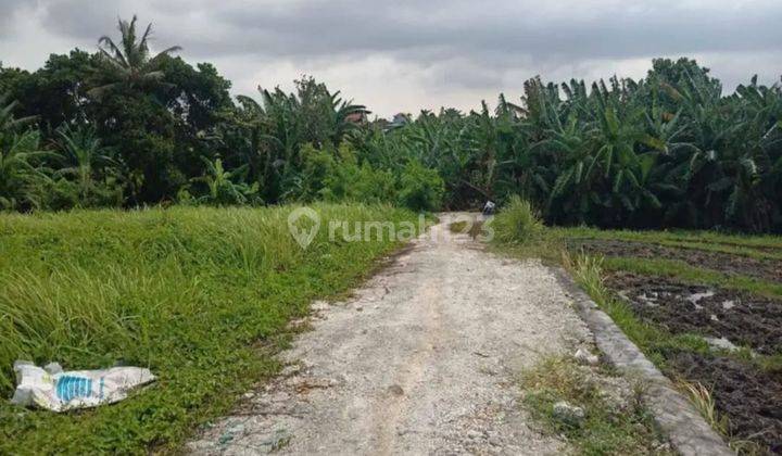 LAND READY TO BUILD RICE VIEW VILLA IN KELOD  1