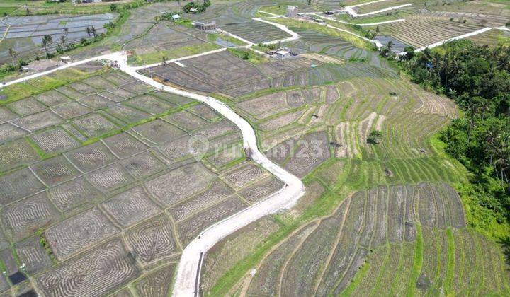 CHEAP PRICE LAND SUITABLE FOR INVESTMENT AND VILLA RENTAL IN CANGGU  2