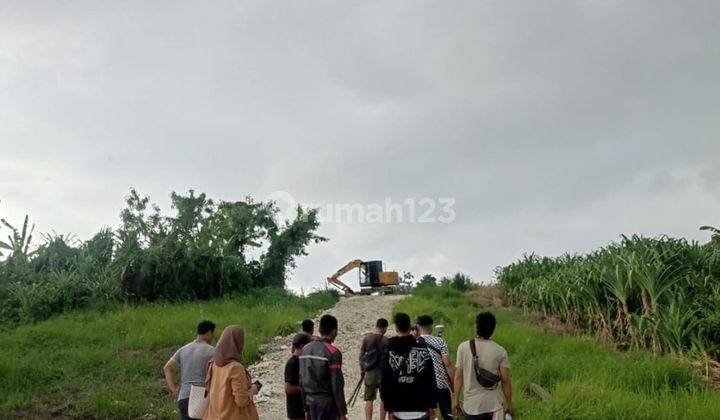 CHEAP PRICE LAND SUITABLE FOR INVESTMENT AND VILLA RENTAL IN CANGGU  1