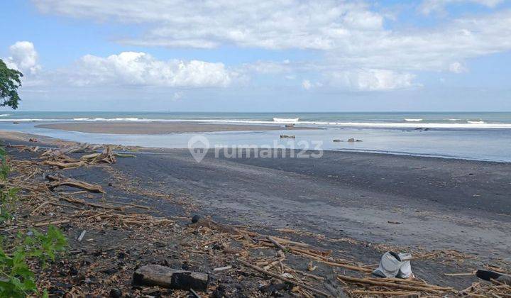 TANAH LOS PANTAI TERMURAH DI CEMAGI CANGGU AREA  2